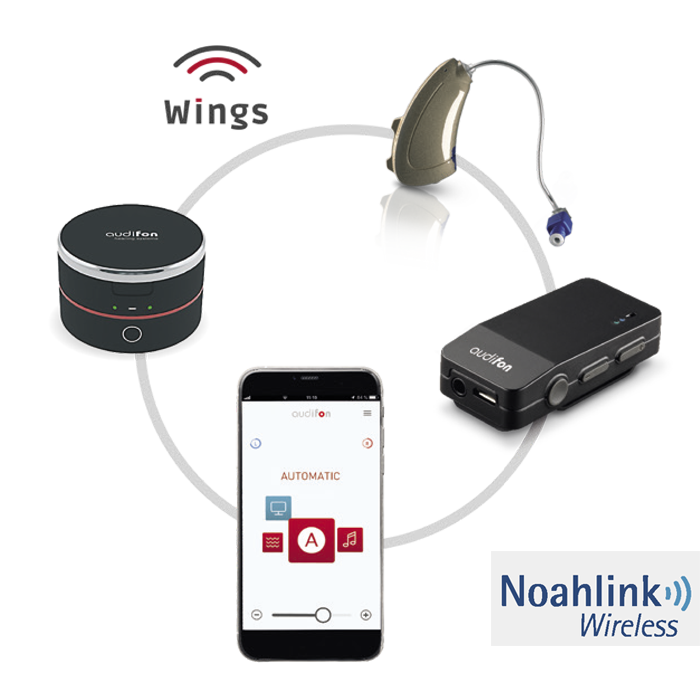 risa liion 3 1 1.png